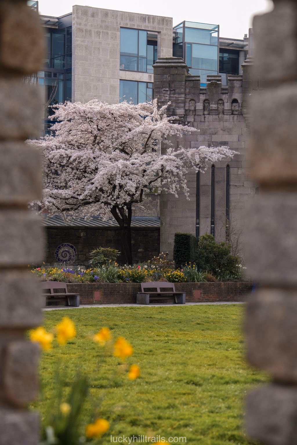 Dublin castle