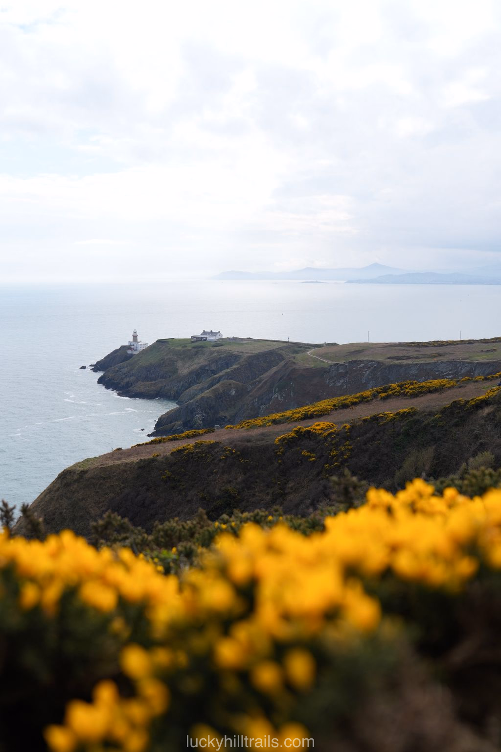 ireland_cliff_howth_2.jpg