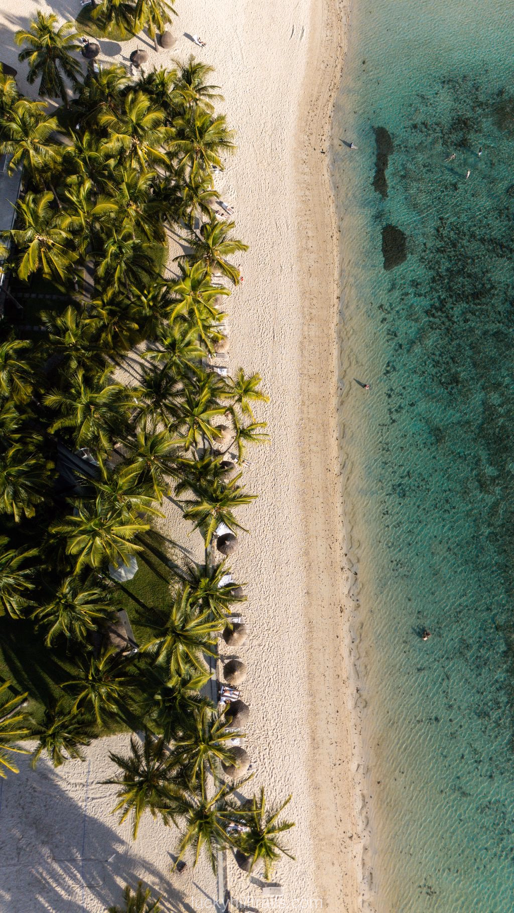 mauritius