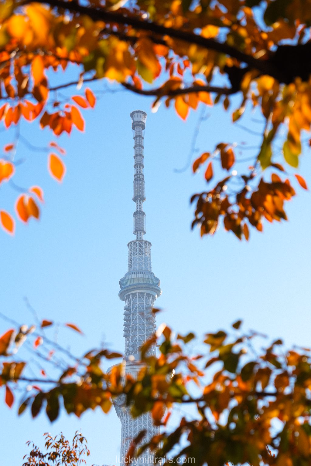 Tokyo Skytree broadcasting tower in Tokyo, Japan