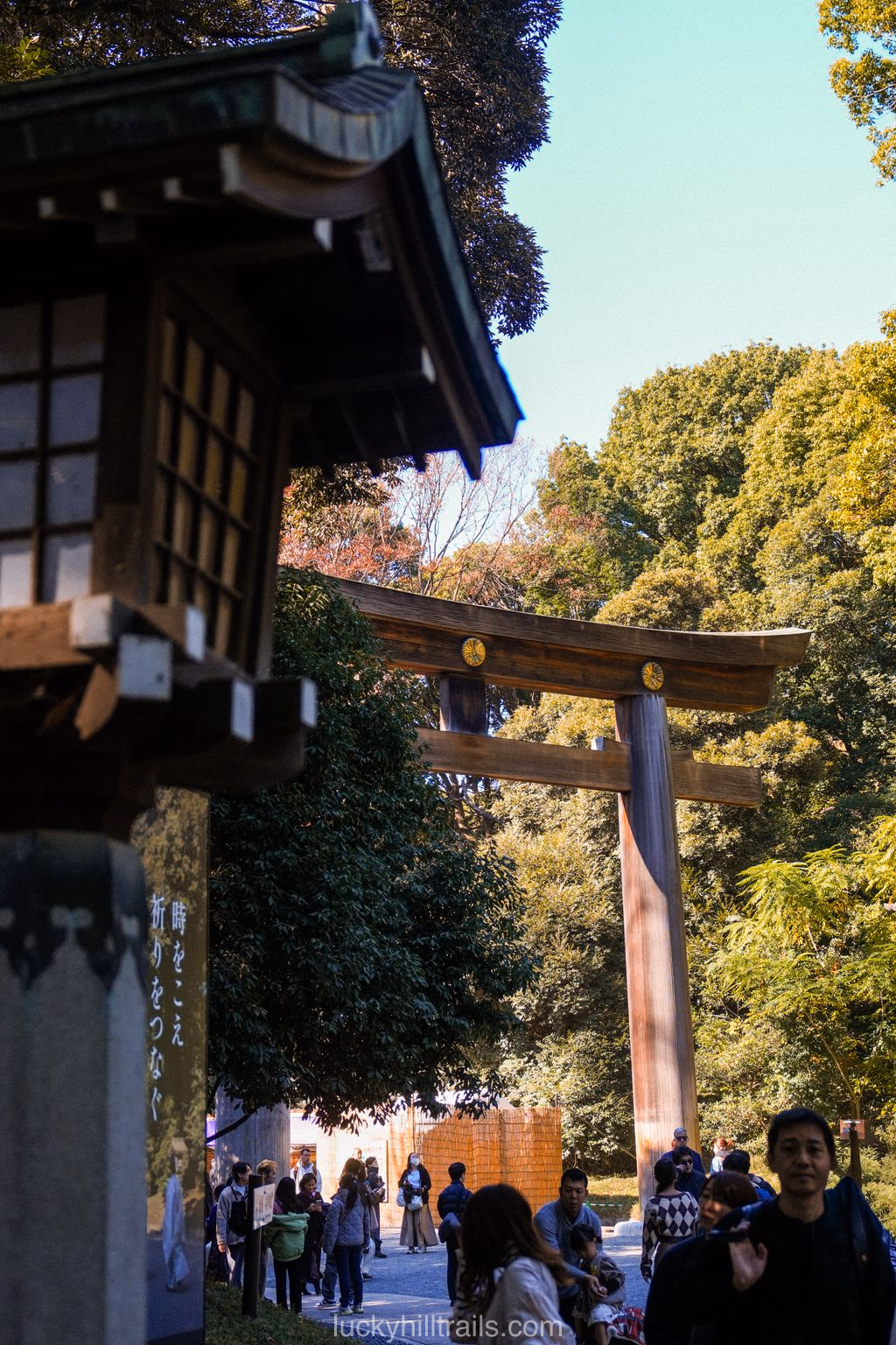 Traditional Japanese Meiji Shrine with large torii gates