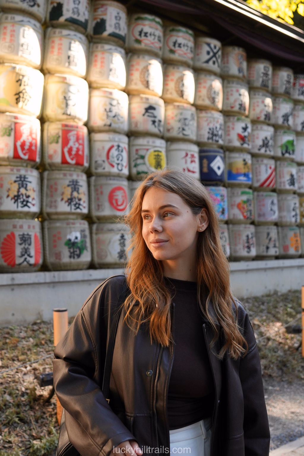 Meiji Shrine: traditional Japan amid modern metropolis