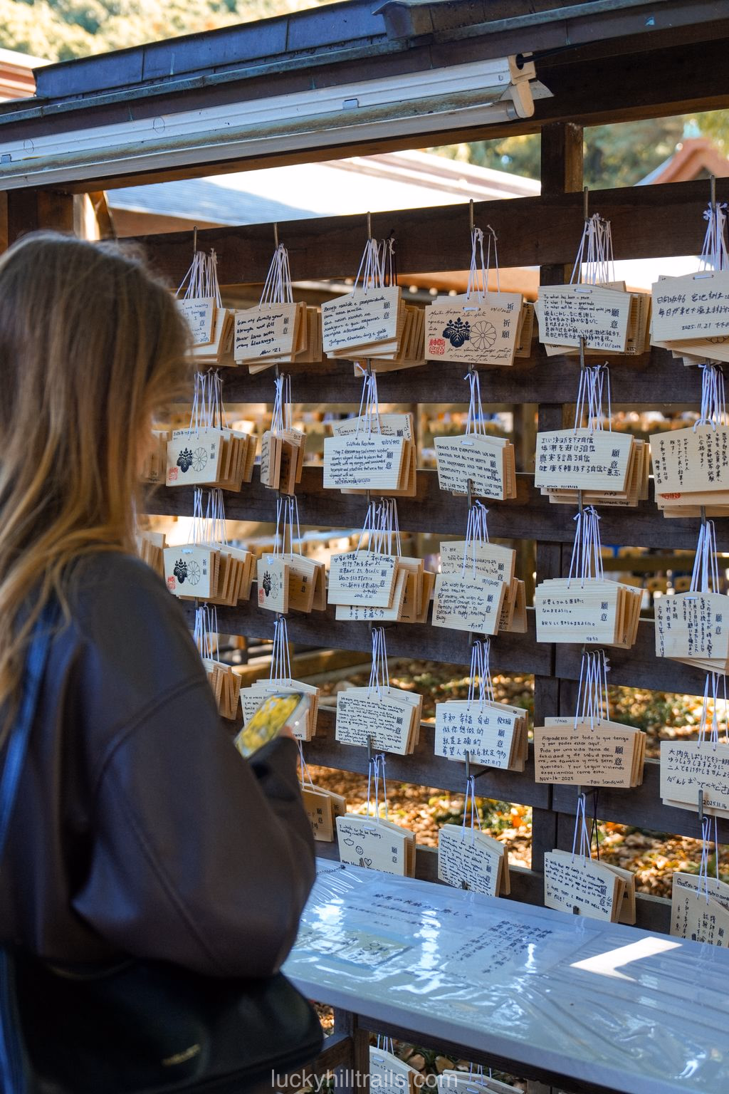 Consecrated Sake Barrels at Meiji Shrine, Tokyo