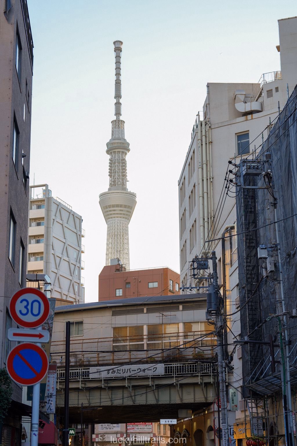 Best Things to Do in Tokyo for Your First Trip