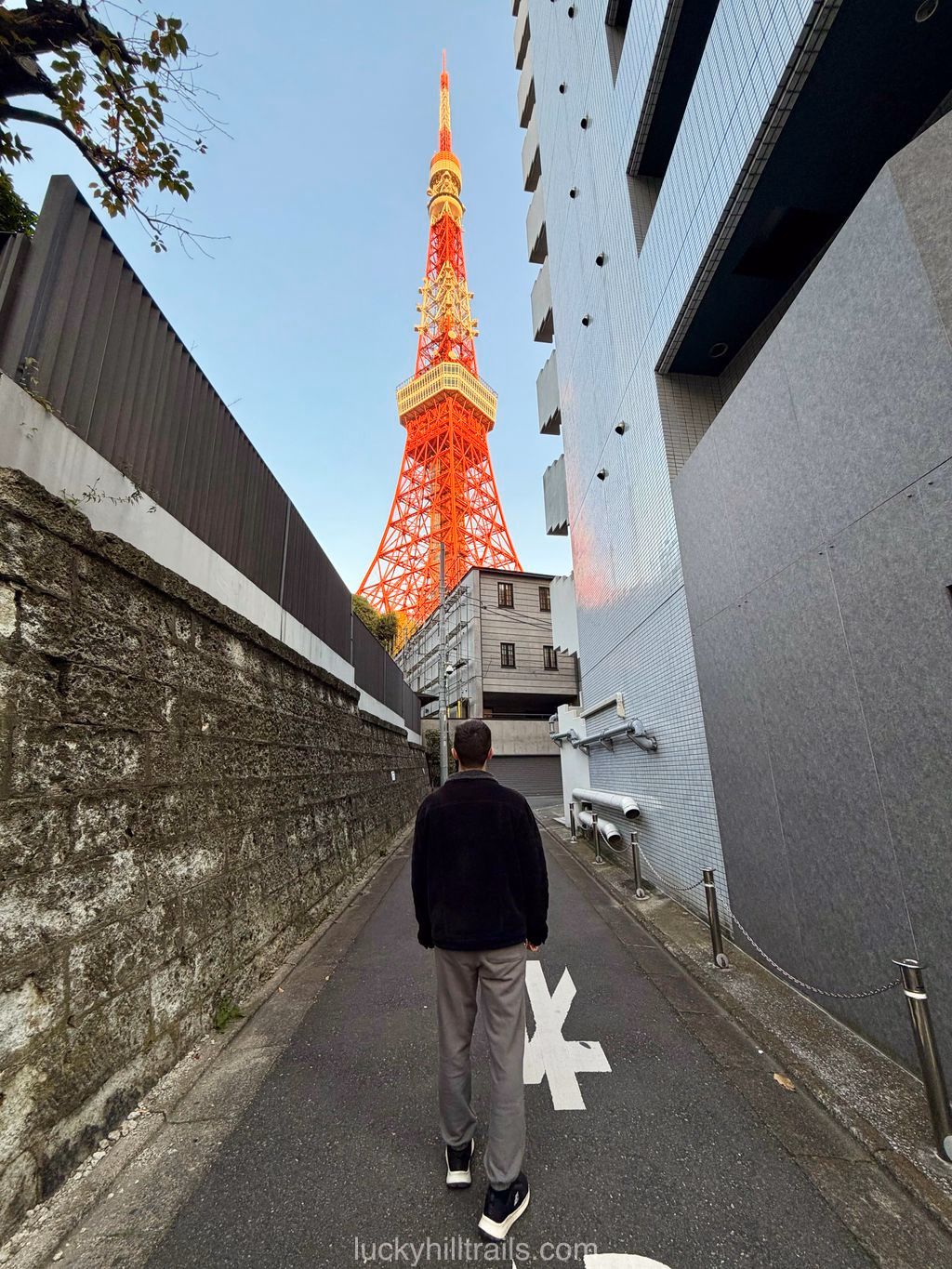 Tokyo Tower: symbol of Tokyo and beauty of Japanese architecture